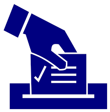 Voting Icon